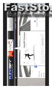 flexispy yorumlar